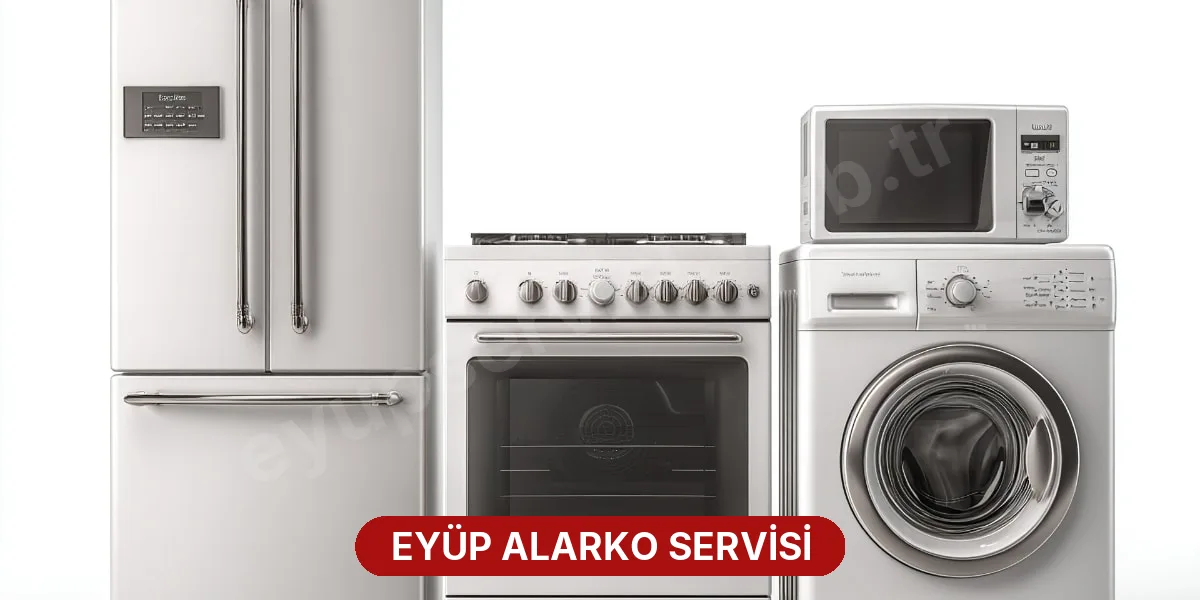 Eyüp Alarko Servisi