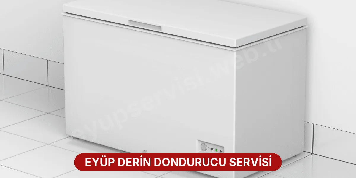 Eyüp Derin Dondurucu Servisi