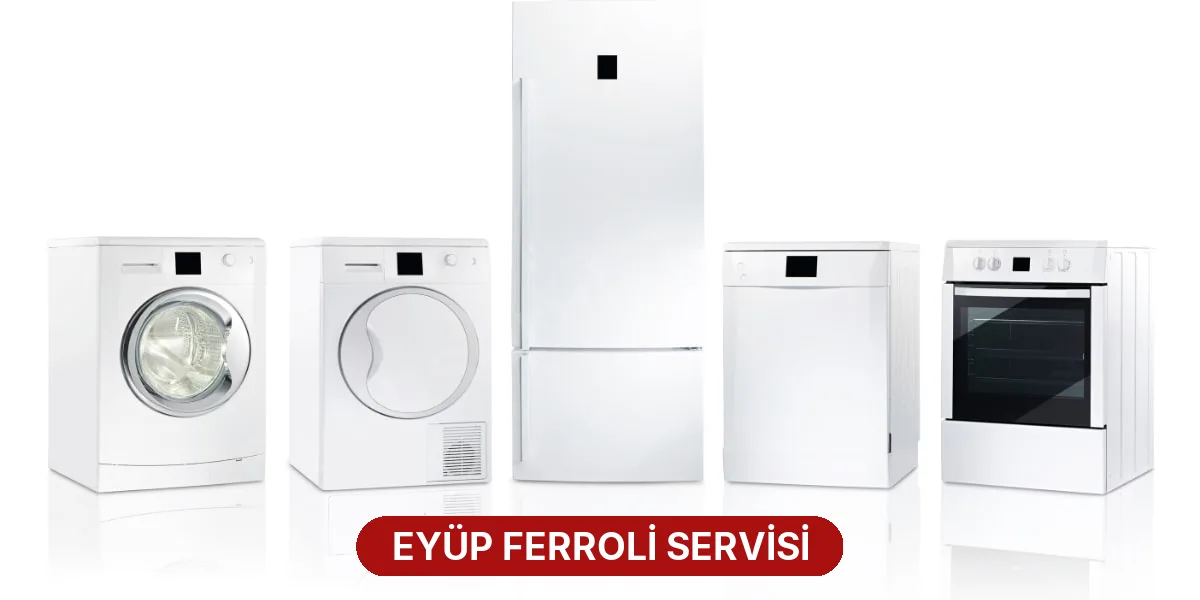 Eyüp Ferroli Servisi