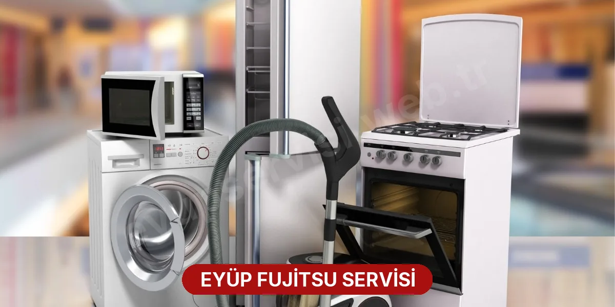Eyüp Fujitsu Servisi