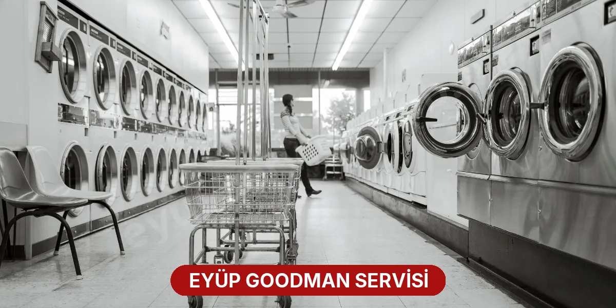 Eyüp Goodman Servisi