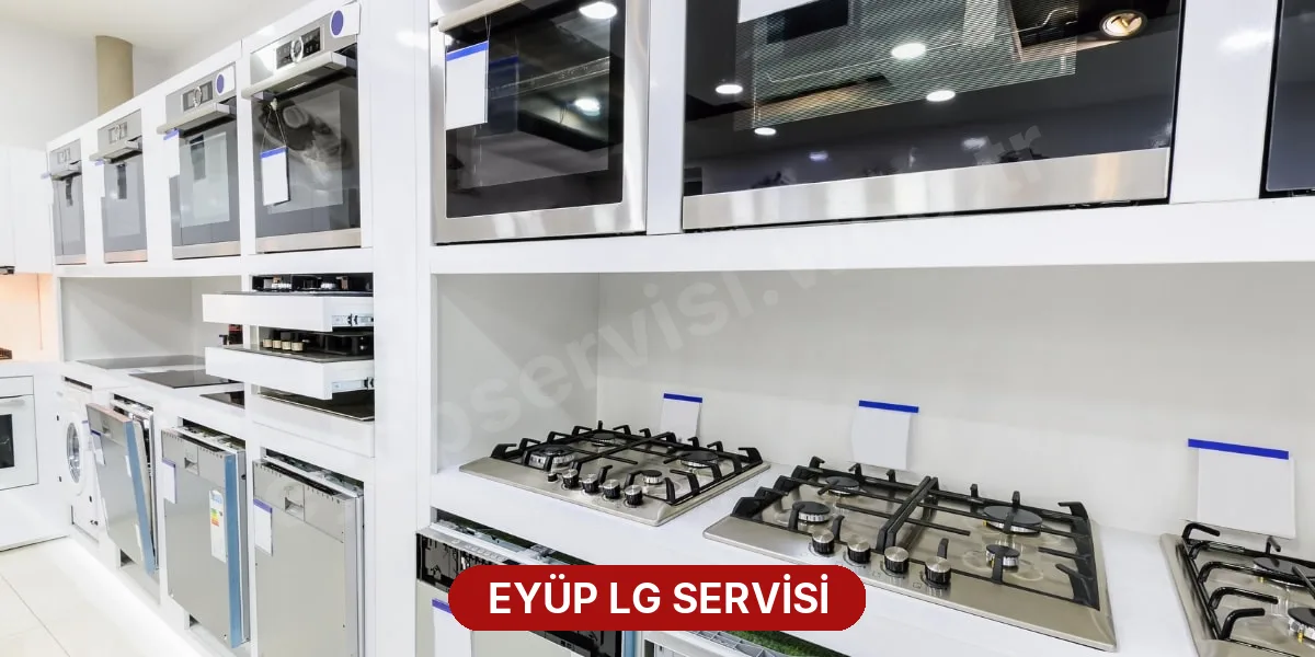 Eyüp LG Servisi