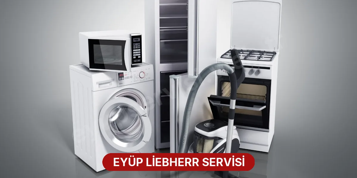Eyüp Liebherr Servisi