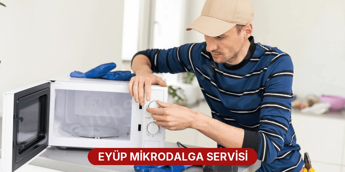 Eyüp Mikrodalga Servisi