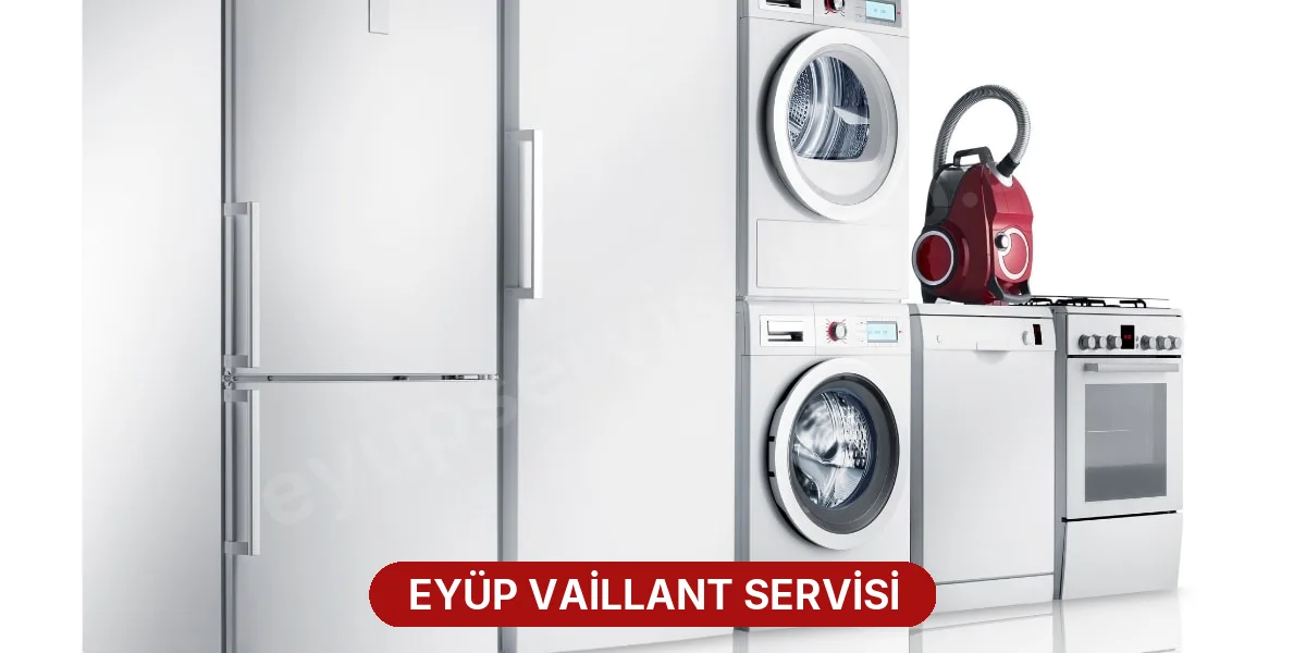 Eyüp Vaillant Servisi